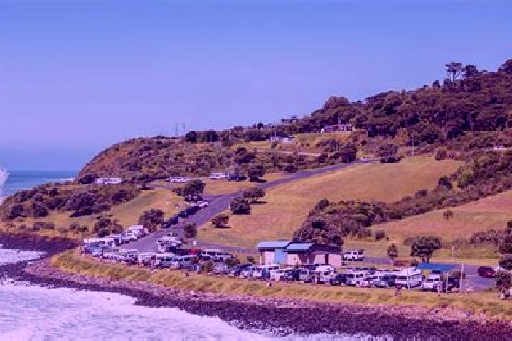 Alice, 23 — Escort in Raglan, New Zealand