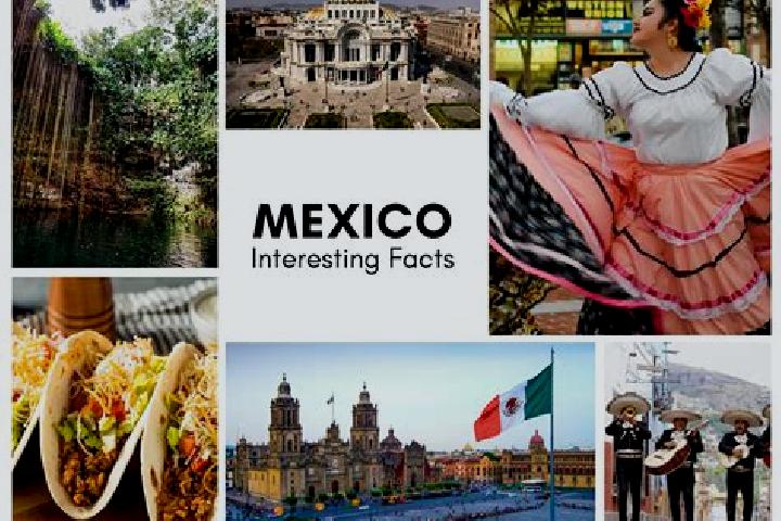 Alice, 24 — Escort in Almilinga, Mexico