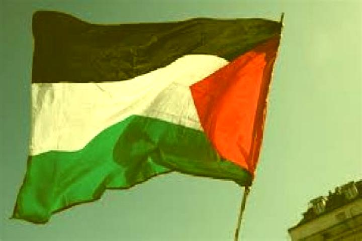 Alice, 24 — Escort in Az Zuwaydah, Palestine