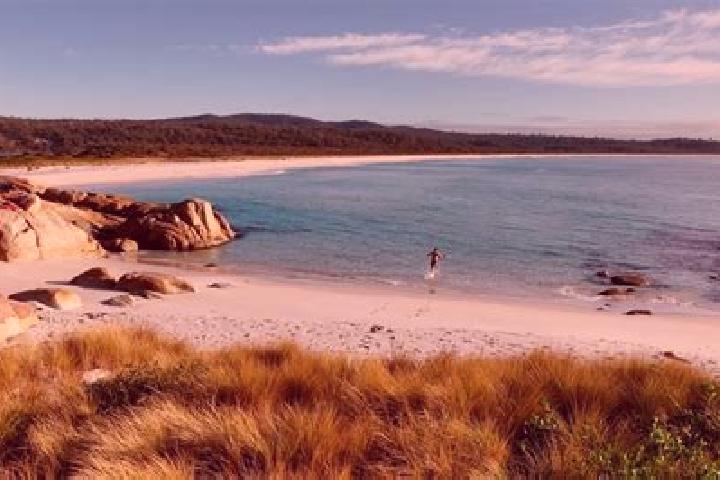 Alice, 24 — Escort in Corlette, Australia