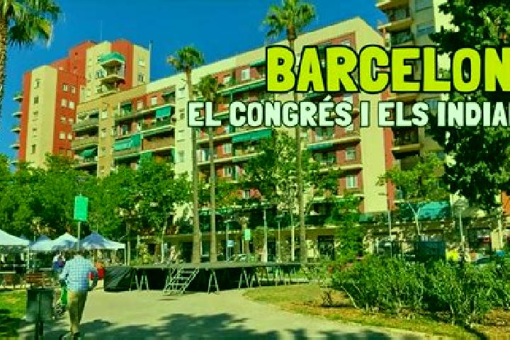 Alice, 24 — Escort in el Congres i els Indians, Spain