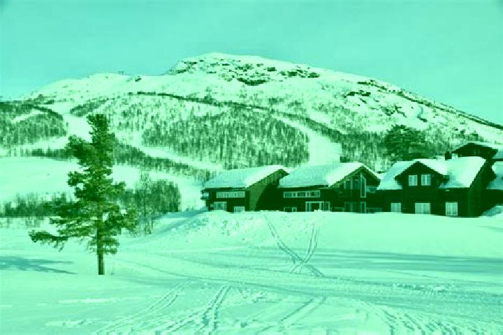 Alice, 24 — Escort in Hovden, Norway