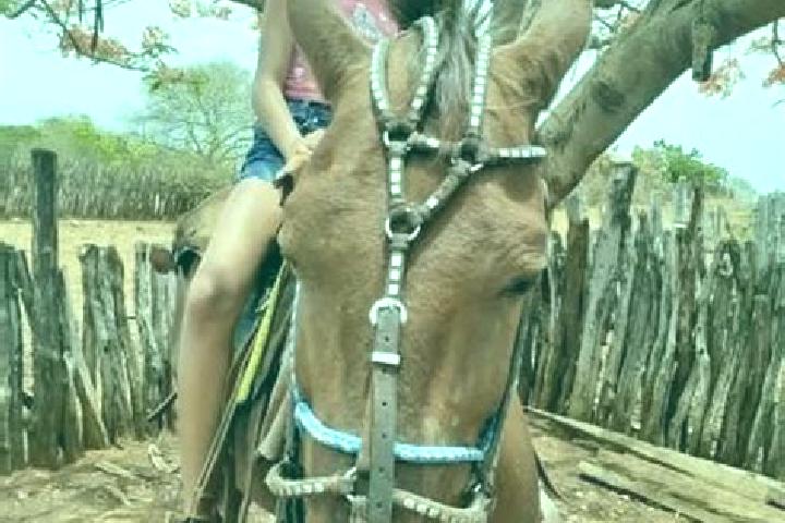 Alice, 24 — Escort in Itaueira, Brazil