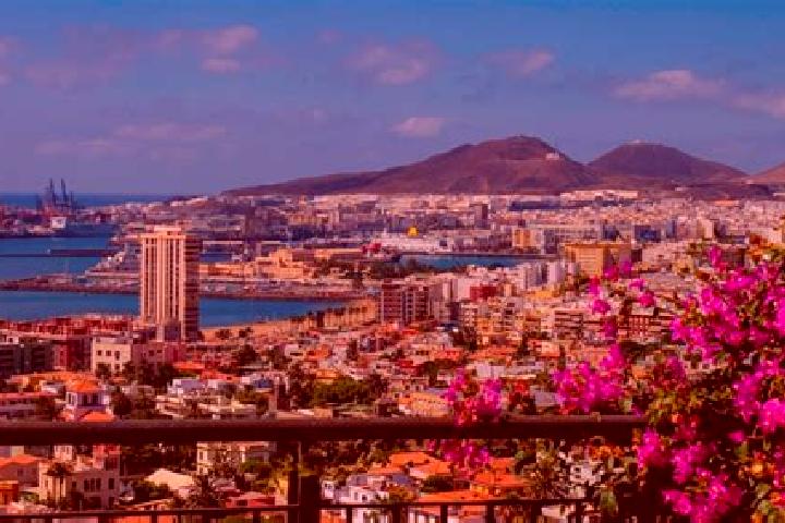 Alice, 24 — Escort in Plan de las Palmas, Mexico