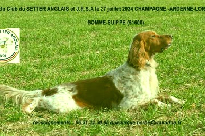 Alice, 24 — Escort in Somme-Suippe, France