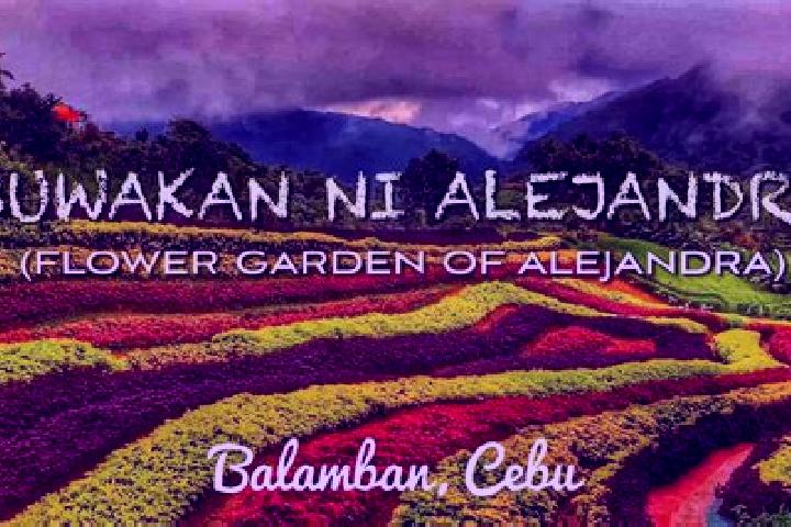 Alice, 25 — Escort in Abucayan, Philippines