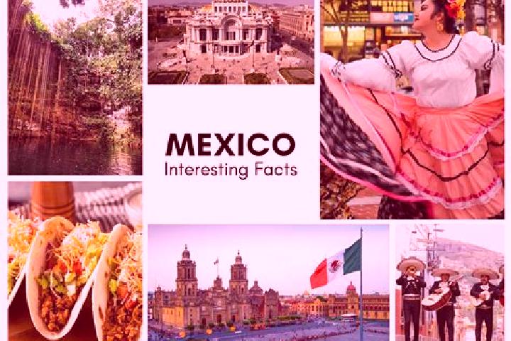 Alice, 25 — Escort in Amacuitlapilco, Mexico