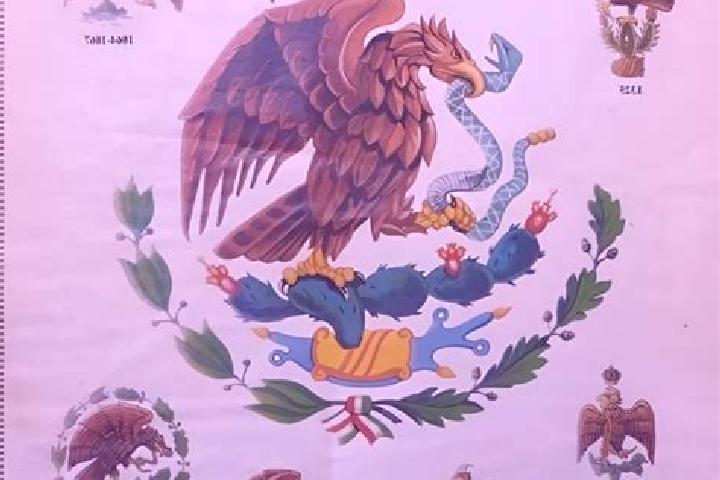 Alice, 25 — Escort in Batalla Nacional, Mexico