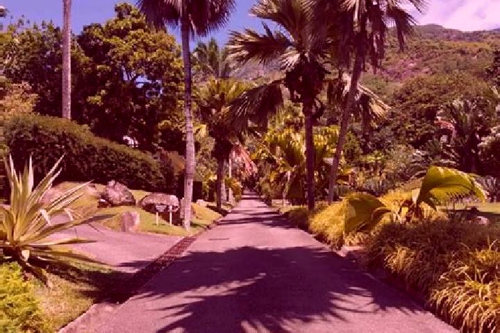 Alice, 25 — Escort in Bel Ombre, Seychelles