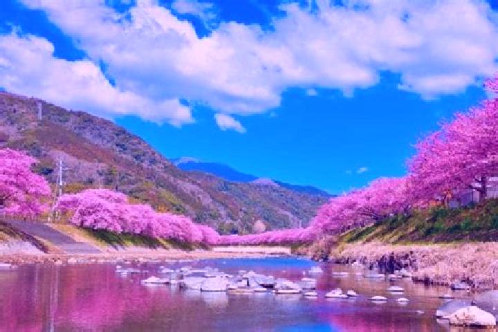 Alice, 25 — Escort in Kawazu-ikadaba, Japan