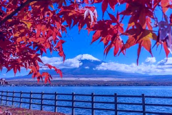 Alice, 25 — Escort in Myoko, Japan