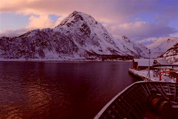 Alice, 25 — Escort in Oksfjord, Norway