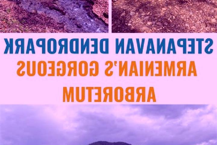 Alice, 25 — Escort in Stepanavan, Armenia