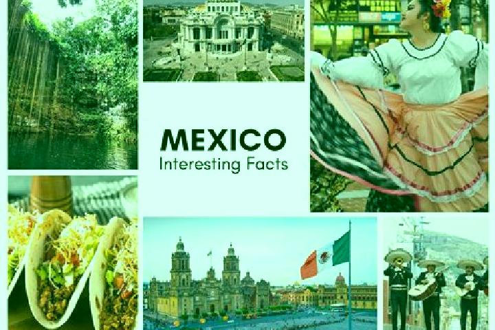 Alice, 25 — Escort in Zopilostoc, Mexico