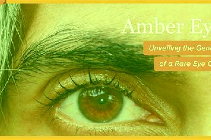 Alice, 26, a red amber-eyed latina companion based in Ormaiztegui. Offering A-Level, Girlfriend Experience, Party Girl, Massage. Available for incall and out...