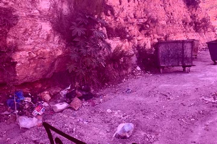 Alice, 26 — Escort in Nahhalin, Palestine