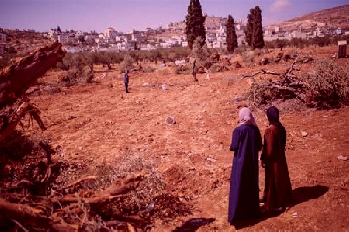Alice, 27 — Escort in Al Mughayyir, Palestine
