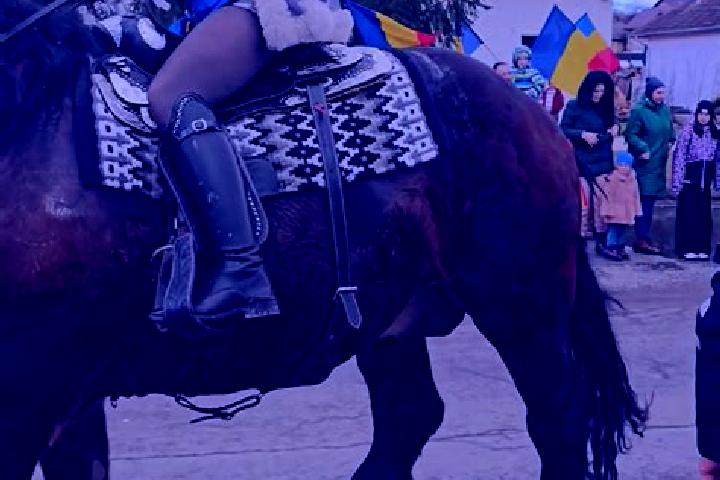 Alice, 27 — Escort in Barcani, Romania