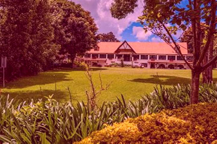 Alice, 27 — Escort in Limuru, Kenya