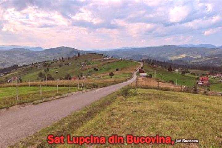Alice, 27 — Escort in Lupcina, Romania