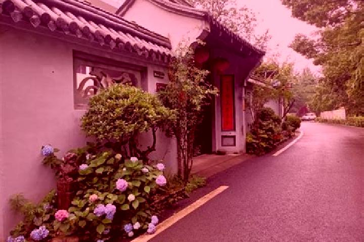 Alice, 27 — Escort in Xiafan, China