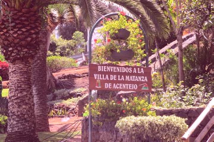 Alice, 28 — Escort in La Matanza de Acentejo, Spain
