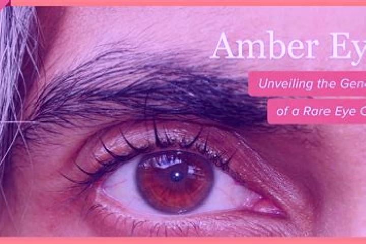 Alice, 29, a red amber-eyed mediterranean companion based in Hlathikhulu. Offering GFE, Fetish, Deep French Kissing. Available for incall and outcall, day an...