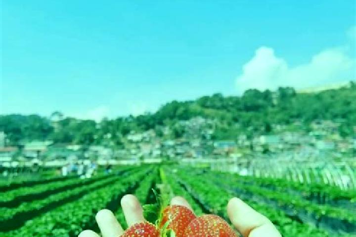 Alice, 29 — Escort in Fraccionamiento la Trinidad, Mexico