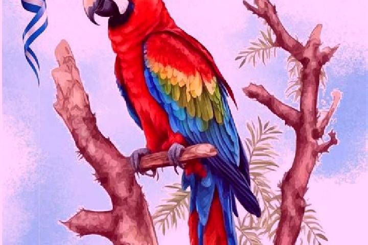 Alice, 29 — Escort in Guacamaya, Honduras