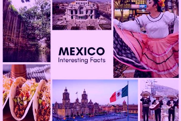 Alice, 30 — Escort in Axuxco, Mexico