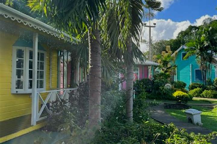 Alice, 30 — Escort in Holetown, Barbados