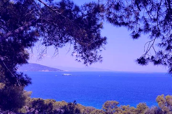 Alice, 31 — Escort in Chortiatis, Greece