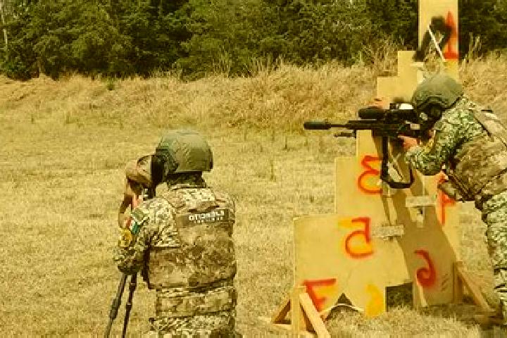 Alice, 31 — Escort in Mesa del Tirador, Mexico
