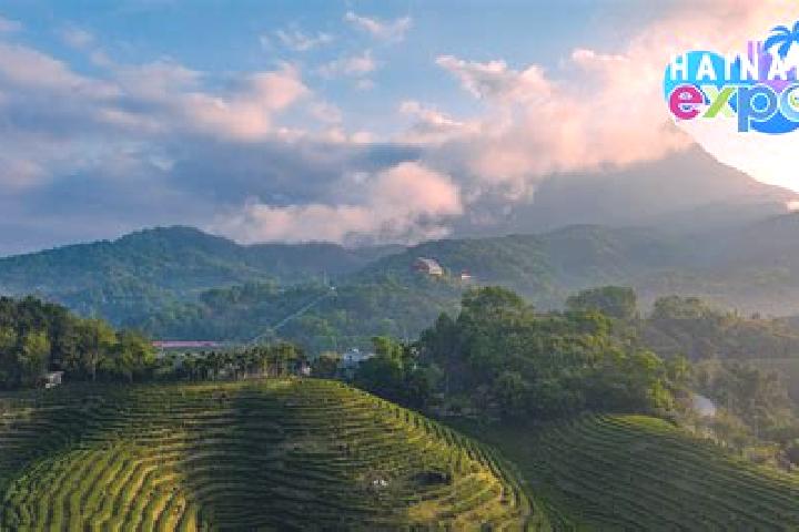 Alice, 31 — Escort in Wuzhi, China