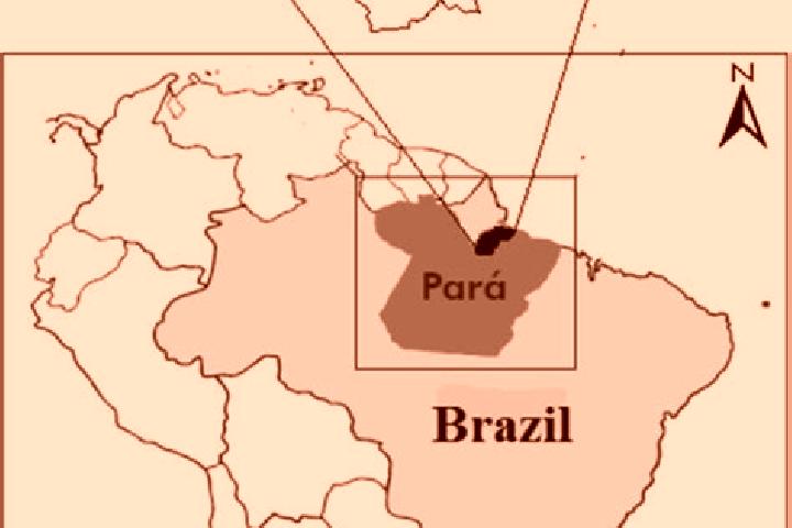 Alice, 32 — Escort in Anajas, Brazil