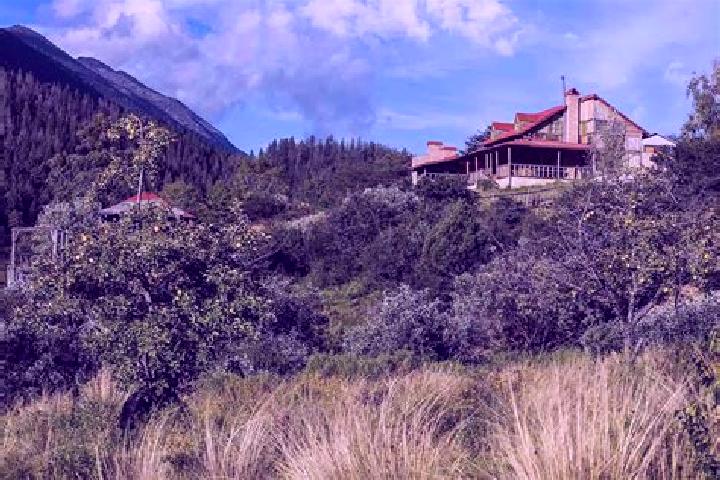 Alice, 32 — Escort in Canada de la Yerbabuena, Mexico