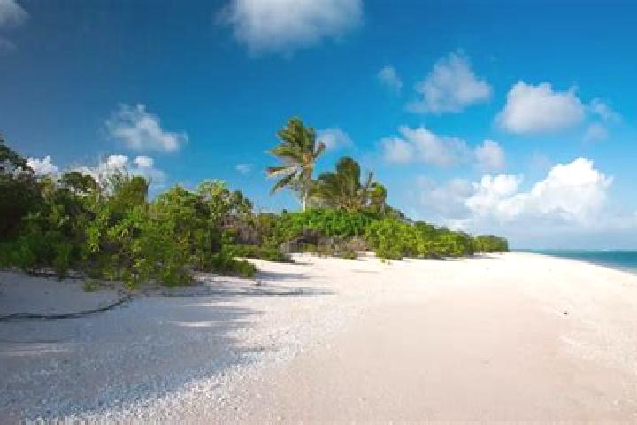 Alice, 32 — Escort in Likiep, Marshall Islands