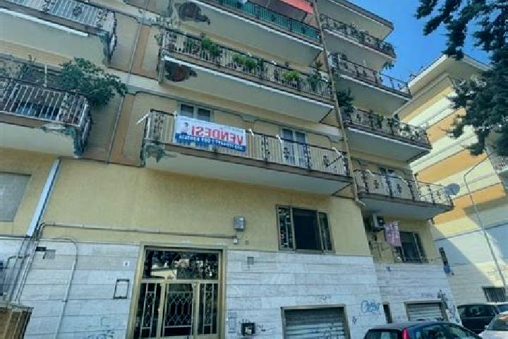Alice, 32 — Escort in Pastena, Italy