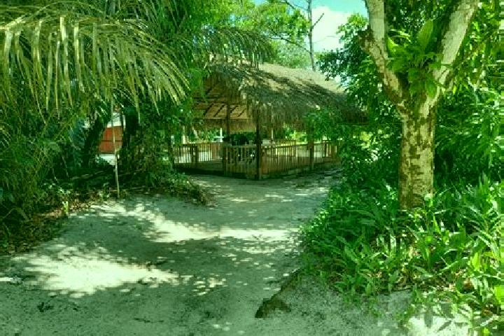 Alice, 32 — Escort in Powakka, Suriname