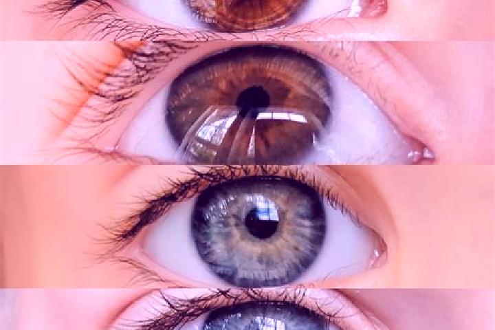 Alice, 33, a chestnut dark-eyed mixed companion based in Apples. Offering Roleplay, Overnight, Duos, Couples. Available for incall and outcall, day and eveni...