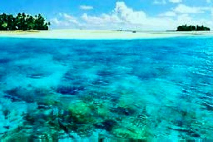 Alice, 33 — Escort in Banana, Kiribati