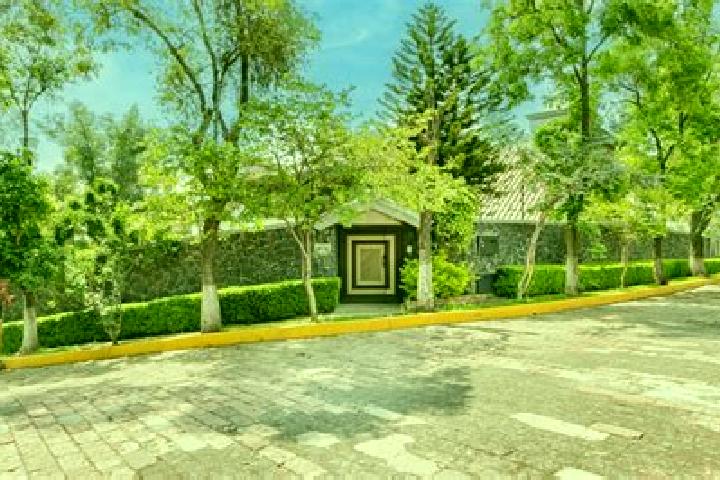 Alice, 33 — Escort in Fuentes del Valle, Mexico