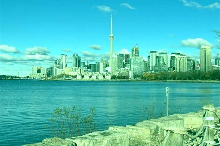 Alice, 33 — Escort in High Park, Canada