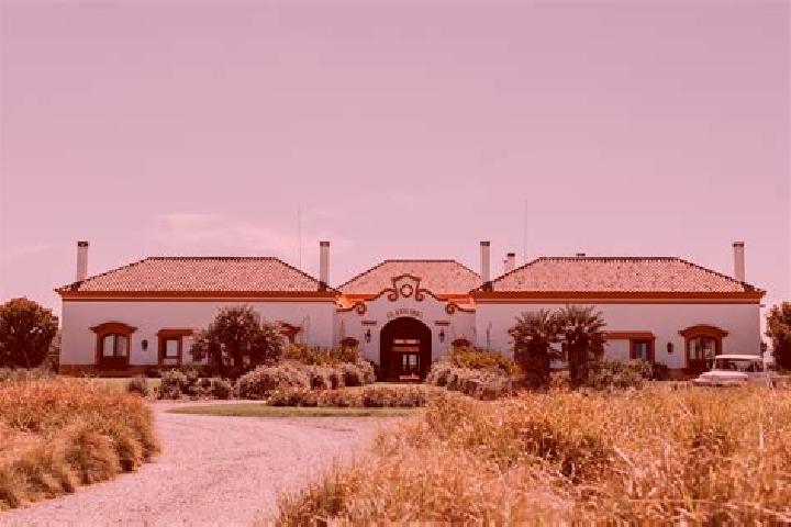 Alice, 33 — Escort in La Estancia de Amezcua, Mexico