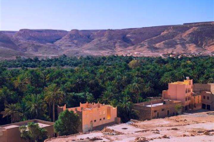 Alice, 33 — Escort in Tazarine, Morocco