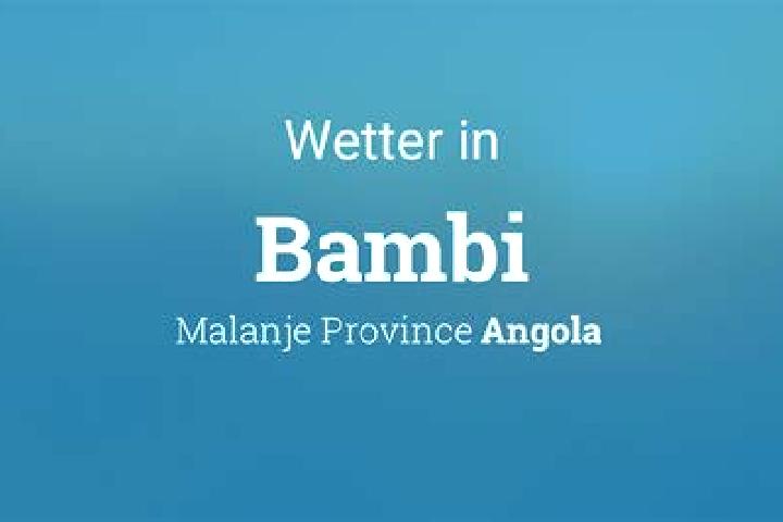 Alice, 34 — Escort in Bambi, Angola