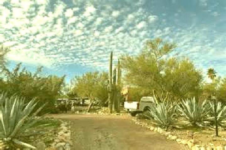 Alice, 34 — Escort in Catalina Foothills, United States