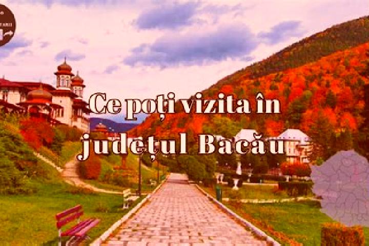 Alice, 34 — Escort in Dragugesti, Romania