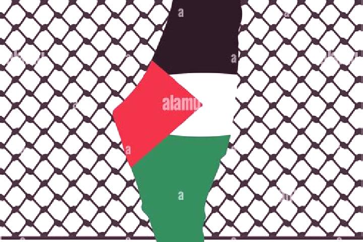 Alice, 34 — Escort in Farkhah, Palestine