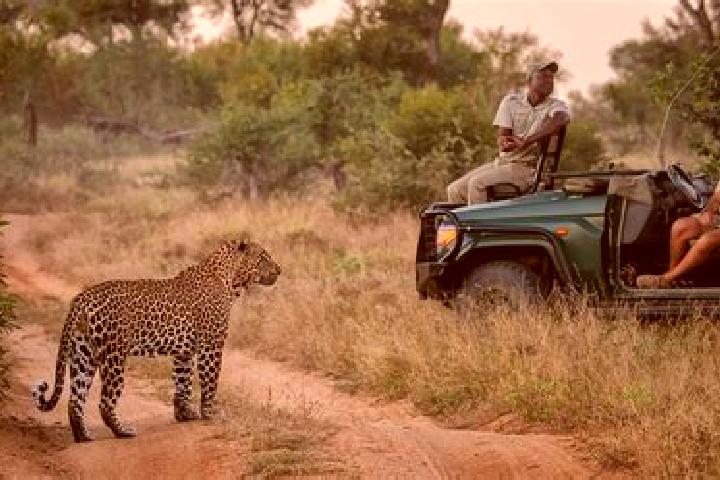 Alice, 34 — Escort in Sabi-Sand Game Reserve, South Africa